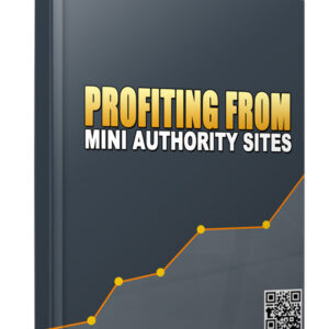 Profiting From Mini Authority Sites